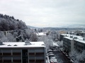Winter an der Längfeldstrasse